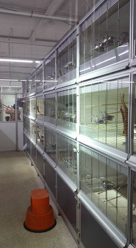 Biggest pet shop in the world